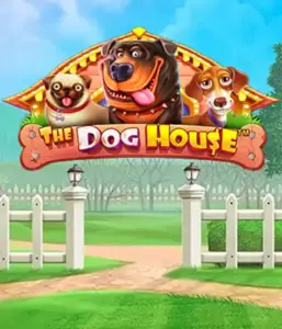 From Pragmatic Play comes The Dog House Slot, featuring a fun-filled journey among lovable dogs. Enjoy features such as multipliers, perfect for providing exciting wins. Perfect for those who enjoy a lighthearted theme and the opportunity to win big.